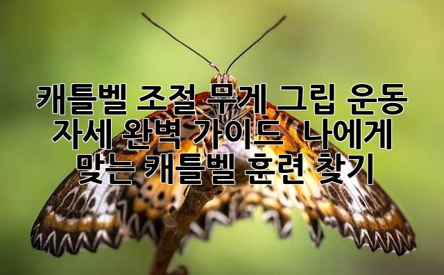 캐틀벨 조절: 무게, 그립, 운동 자세 완벽 가이드 – 나에게 맞는 캐틀벨 훈련 찾기