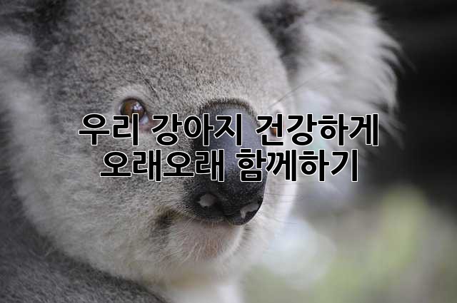 우리 강아지 건강하게 오래오래 함께하기