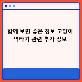 함께 보면 좋은 정보 고양이 벽타기 관련 추가 정보