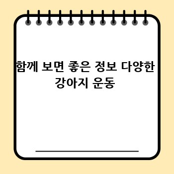 함께 보면 좋은 정보 다양한 강아지 운동