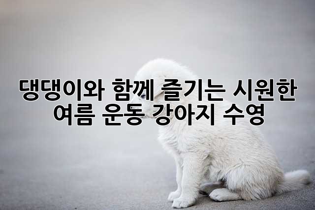 댕댕이와 함께 즐기는 시원한 여름 운동: 강아지 수영!