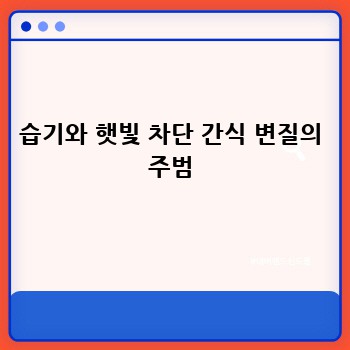습기와 햇빛 차단 간식 변질의 주범