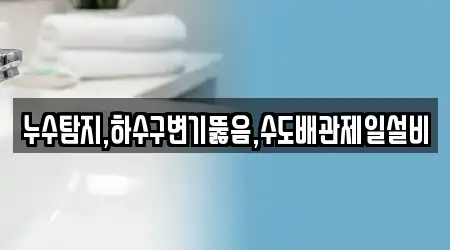 누수탐지,하수구변기뚫음,수도배관제일설비