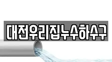 대전우리집누수하수구