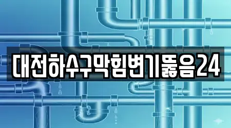 대전하수구막힘변기뚫음24