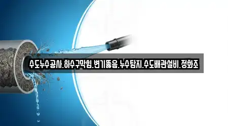 전북특별자치도 진안군 하수구 막힘 2 가까운 위치정보