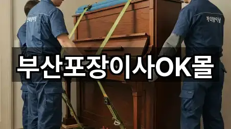 부산포장이사OK몰