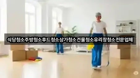 식당청소주방청소후드청소상가청소건물청소유리창청소전문업체
