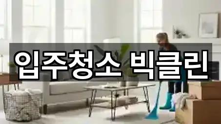 입주청소 빅클린