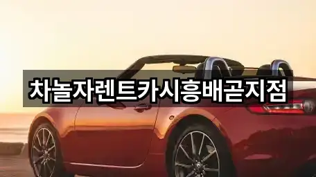 차놀자렌트카시흥배곧지점
