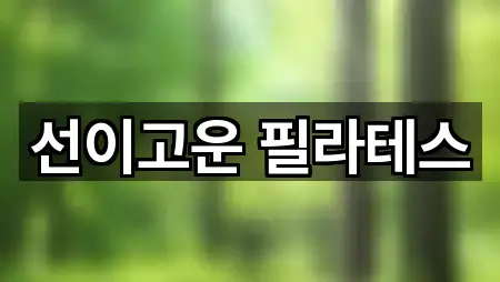 선이고운 필라테스