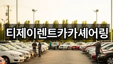 티제이렌트카카셰어링