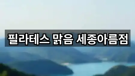 필라테스 맑음 세종아름점