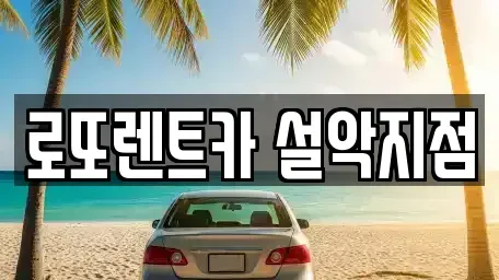 강원특별자치도 속초시 도문동 렌트카 전문 로또렌트카 설악지점