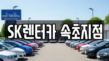 강원특별자치도 속초시 도문동 장기렌트카 전문 SK렌터카 속초지점