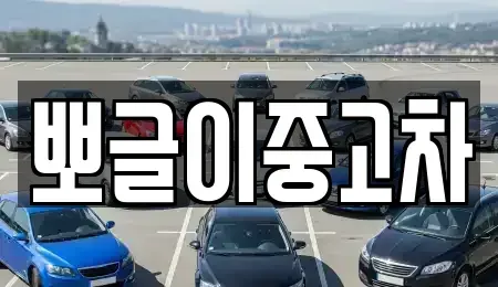 강원특별자치도 속초시 도문동 중고차매매 전문 뽀글이중고차