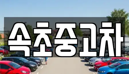 강원특별자치도 속초시 도문동 중고차매매,단기렌트카,중고차매입,장기렌트카,중고차,렌트카