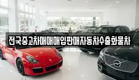 강원특별자치도 속초시 도문동 중고차매매 전문 전국중고차매매매입판매자동차수출화물차