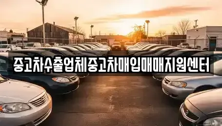 강원특별자치도 속초시 도문동 중고차매매 전문 중고차수출업체중고차매입매매지원센터