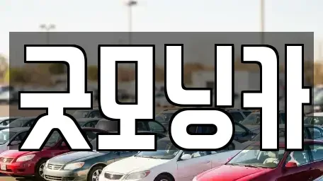 강원특별자치도 춘천시 중도동 중고차매매 전문 굿모닝카