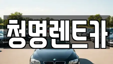 경기도 화성시 반월동 단기렌트카 전문 청명렌트카