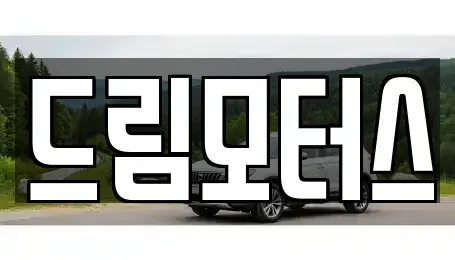 경북 영주시 하망동 중고차매매 전문 드림모터스