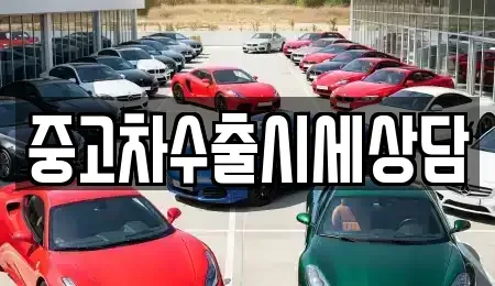 경북 영주시 하망동 중고차매매 전문 중고차수출시세상담